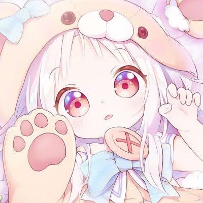 涨价潮已经波及到猫狗